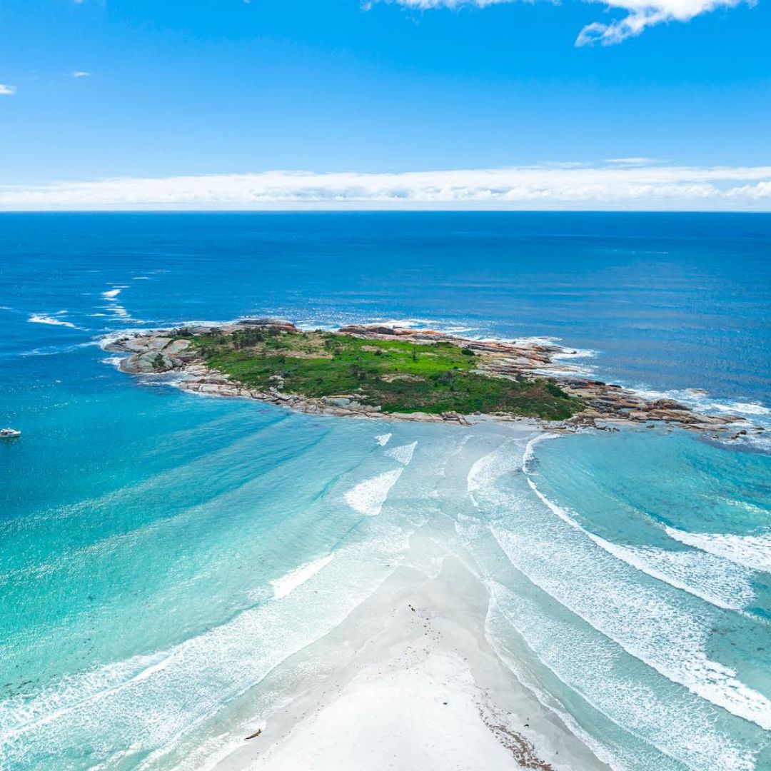 Tasmania Spearfishing and Freediving Course