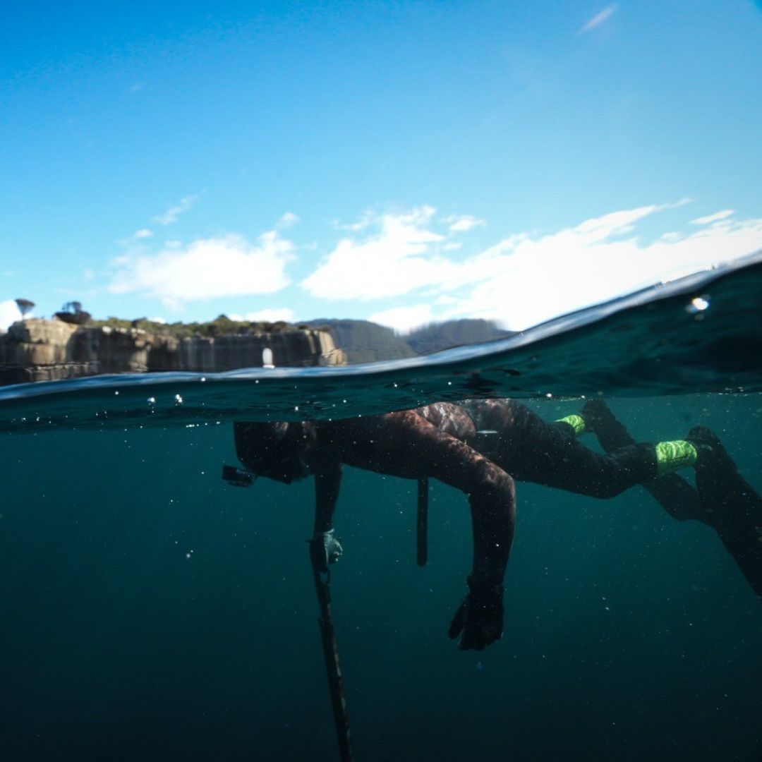 Tasmania Spearfishing and Freediving Course
