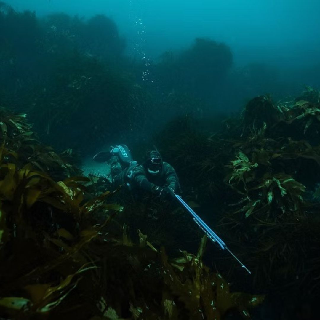 Tasmania Spearfishing and Freediving Course