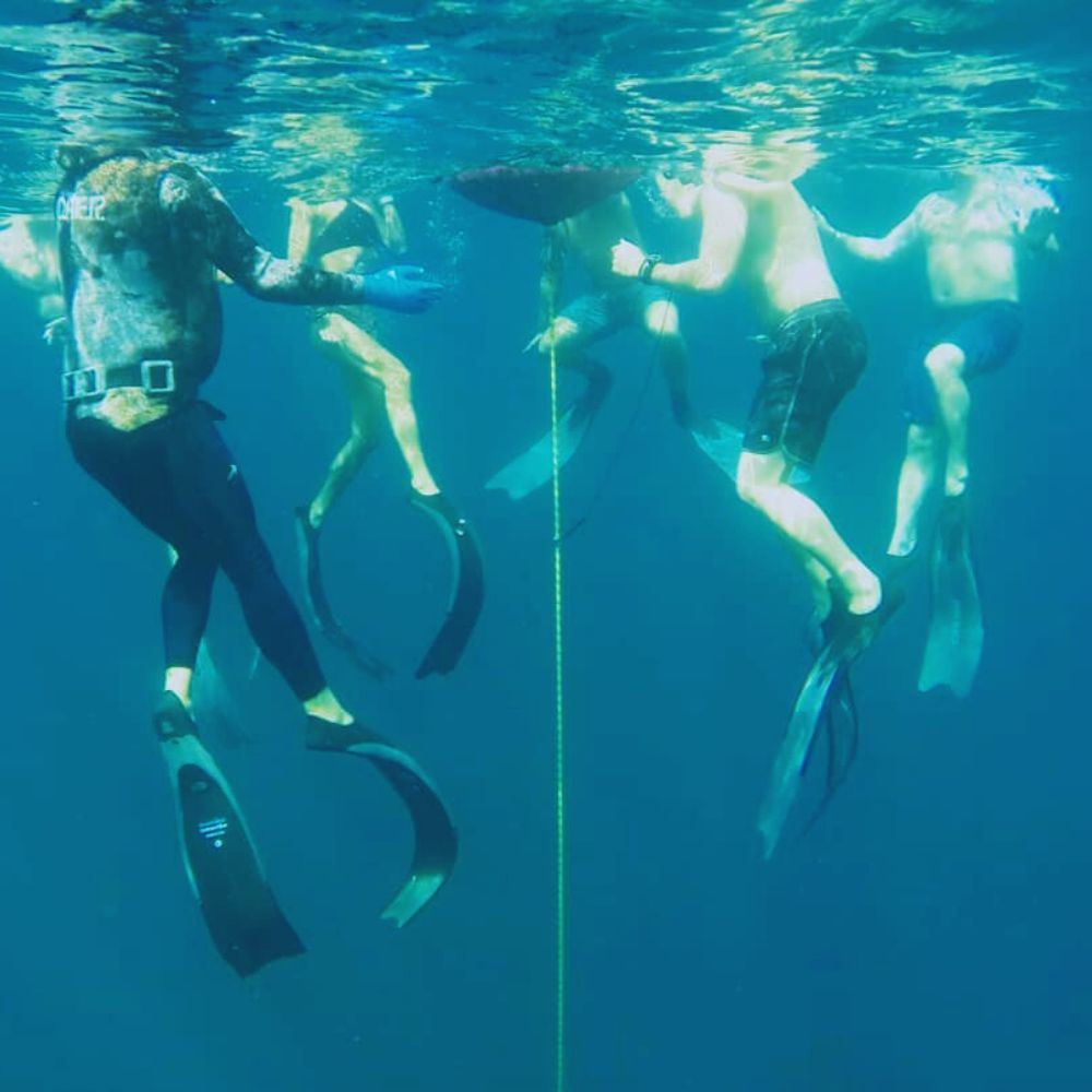 Discover Freediving in Costa Rica