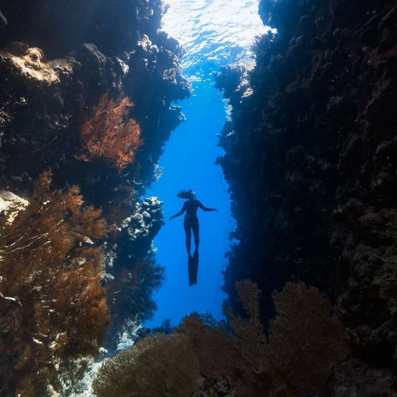 Raja Ampat Scuba Diving Liveaboard Adventure