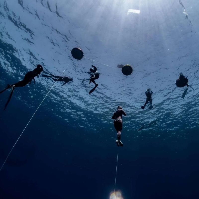 Raja Ampat Scuba Diving Liveaboard Adventure