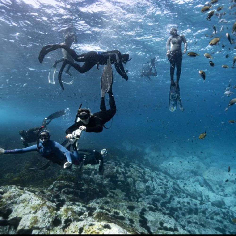Beginner Freediving Course