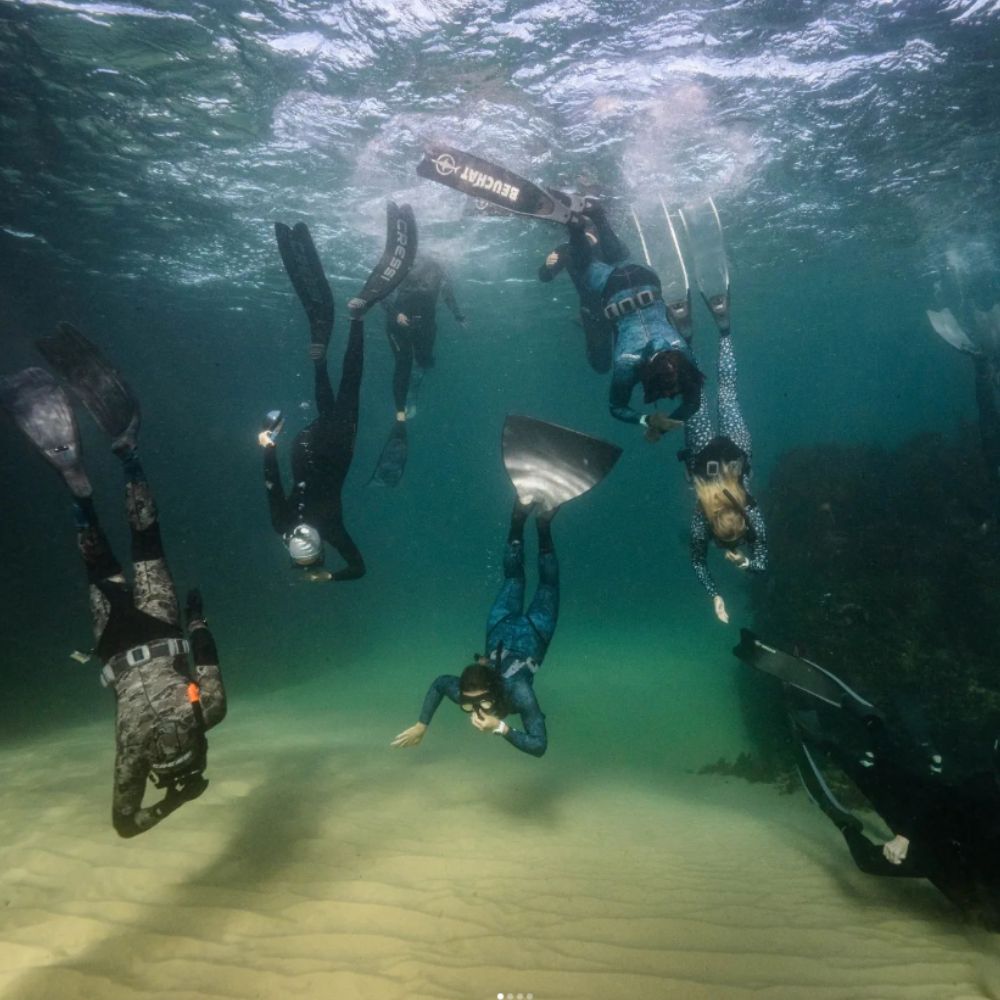 Beginner Freediving Course in Jervis Bay