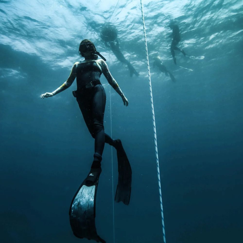 Beginner Freediving Course in Jervis Bay