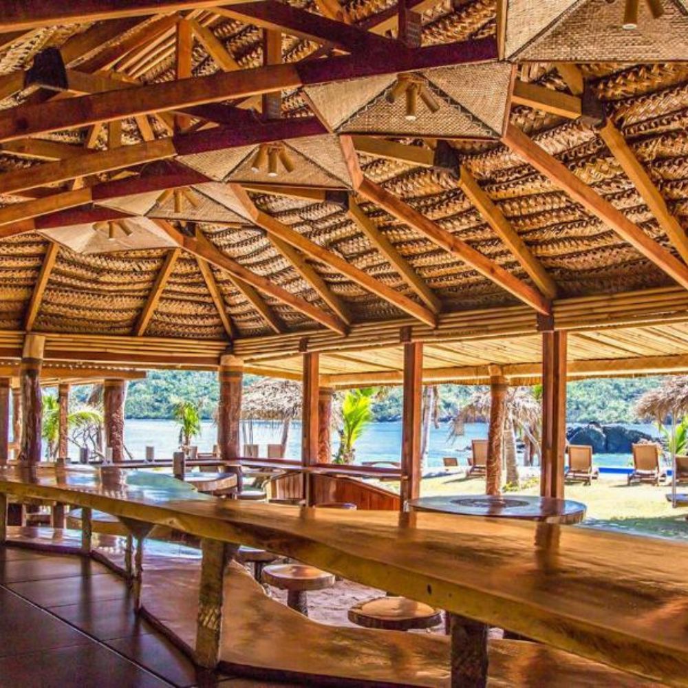 Freediving Fiji Trip