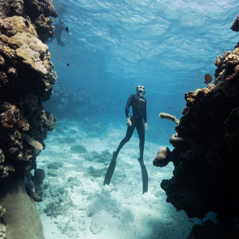 Freediving Fiji Trip