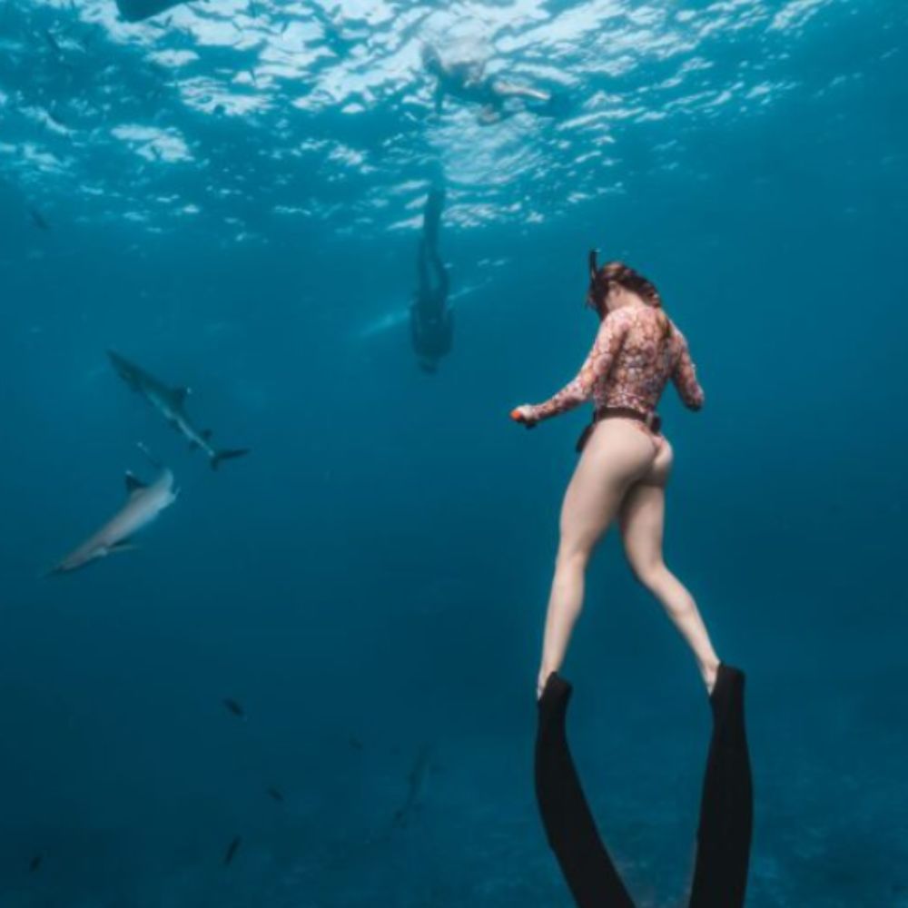 Freediving Fiji Trip