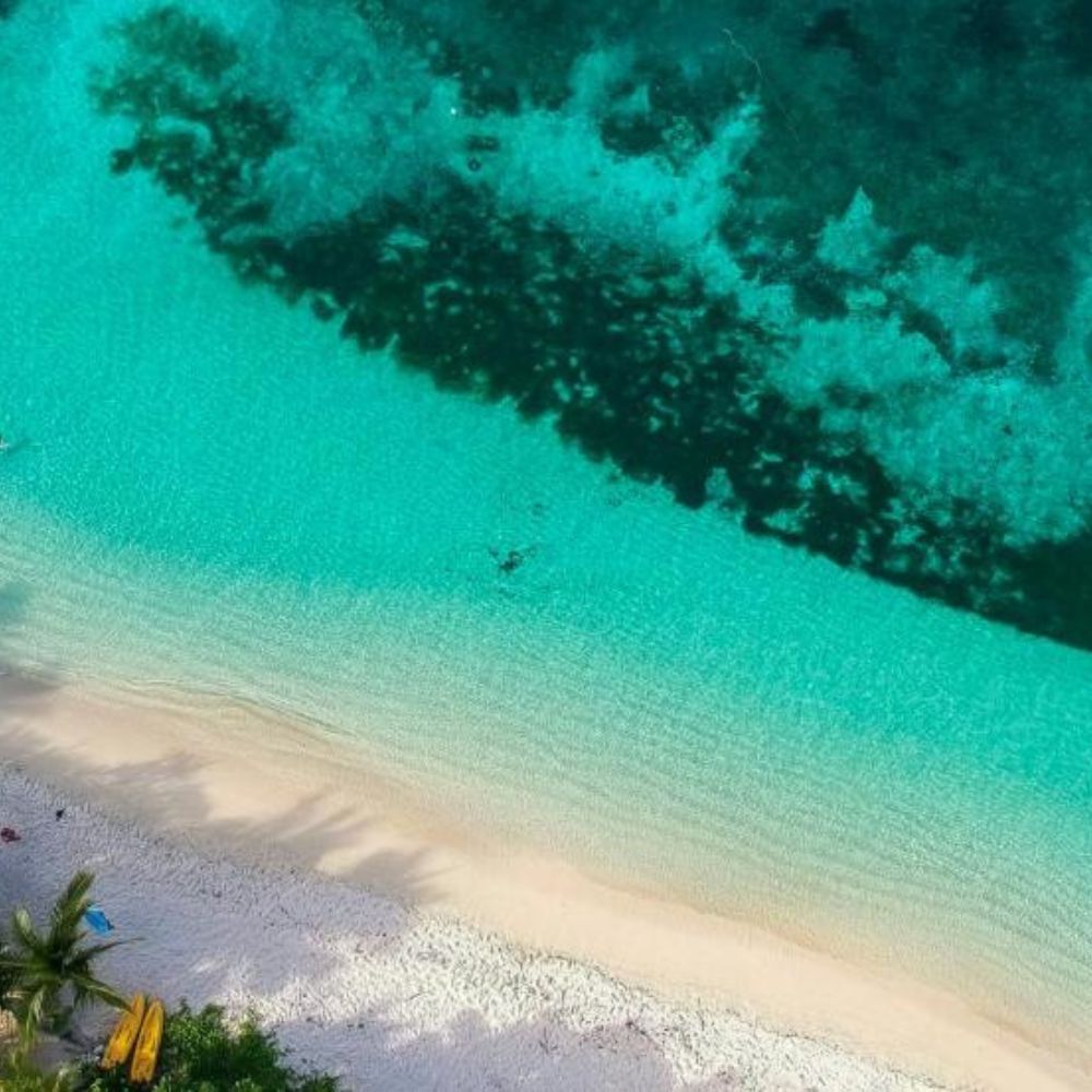 Freediving Fiji Trip