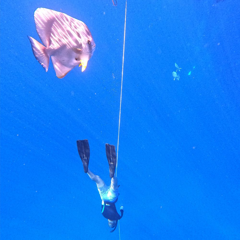 Beginner Freediving in Seychelles