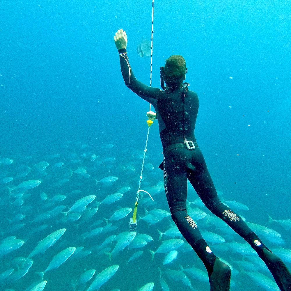 Beginner Freediving in Seychelles