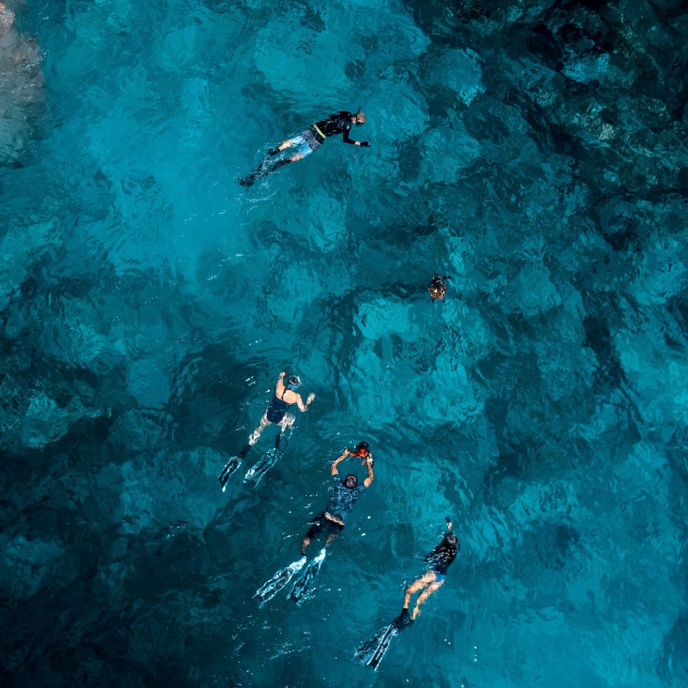 Beginner Freediving in Seychelles