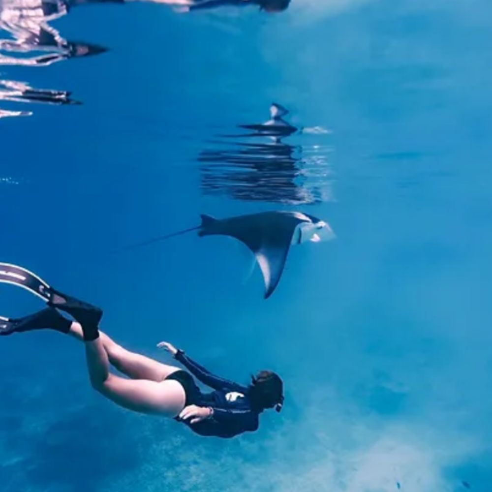 Advanced Diving Africa