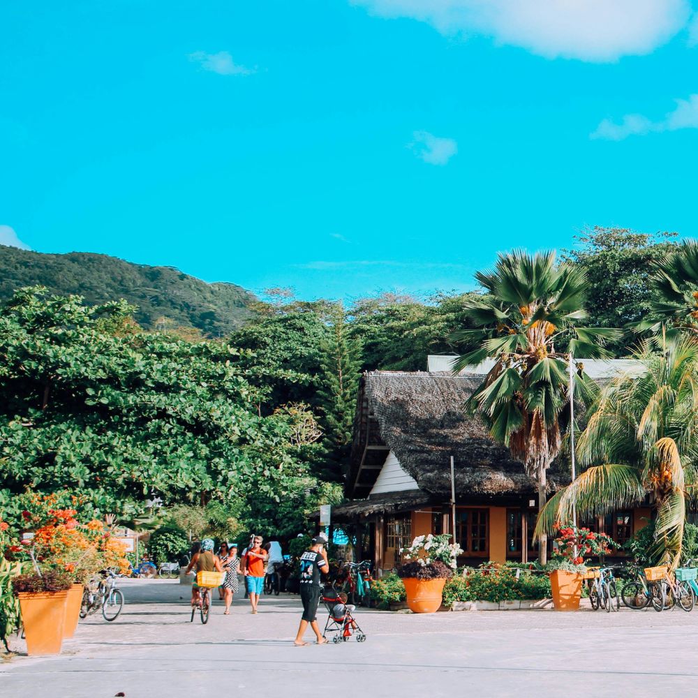Beginner Freediving in Seychelles
