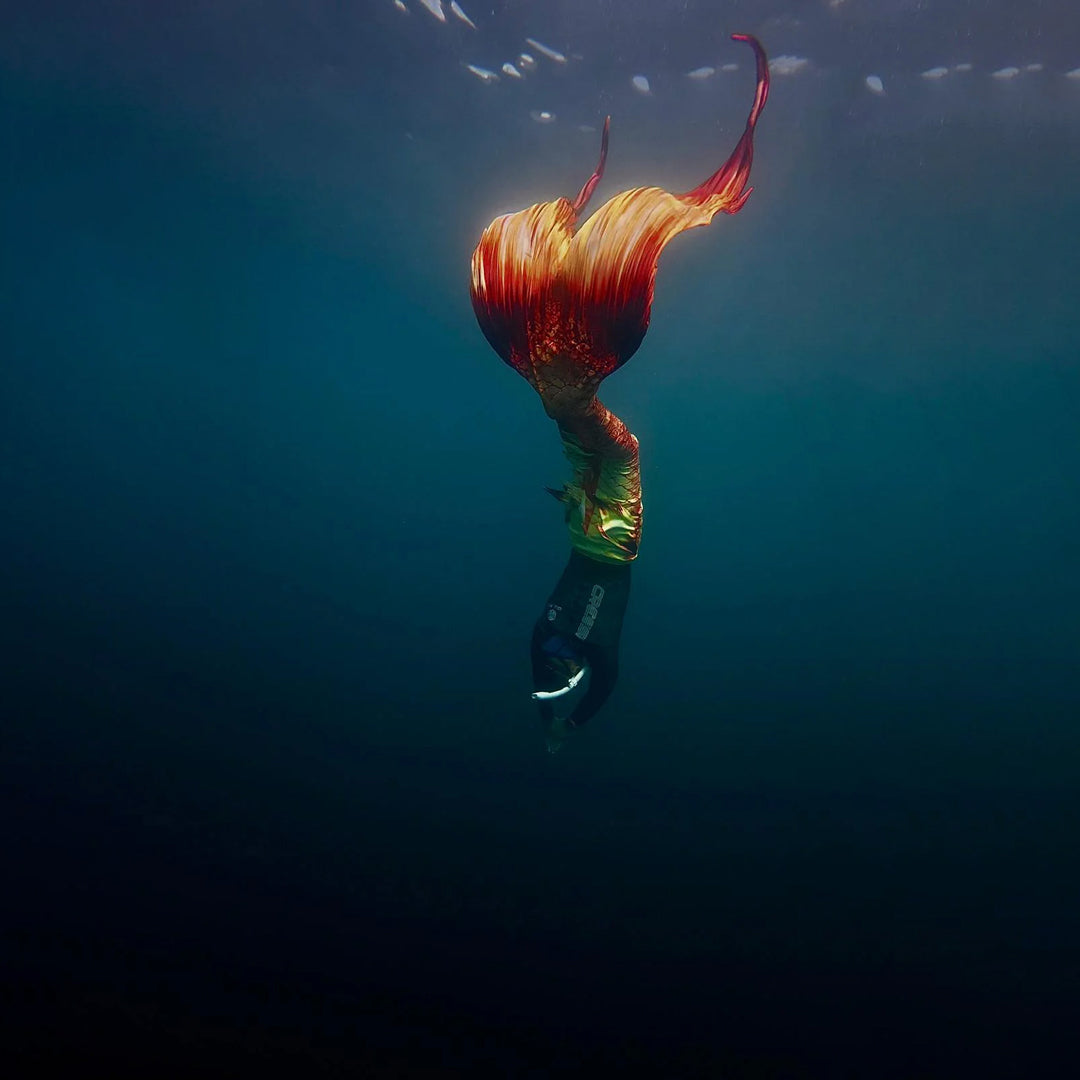 Fiji All Girls Freediving Adventure Retreat