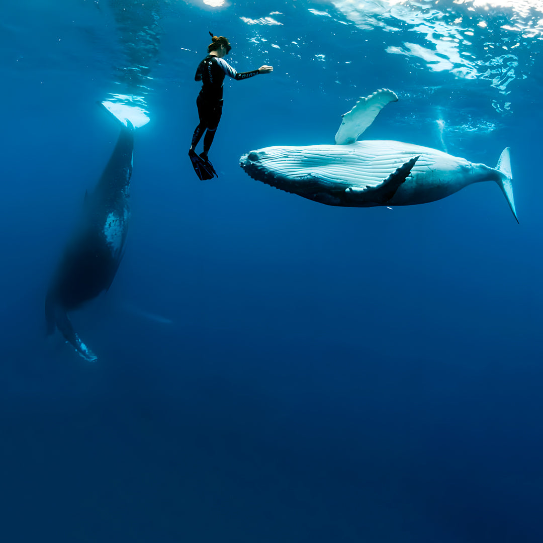 Fiji All Girls Freediving Adventure Retreat