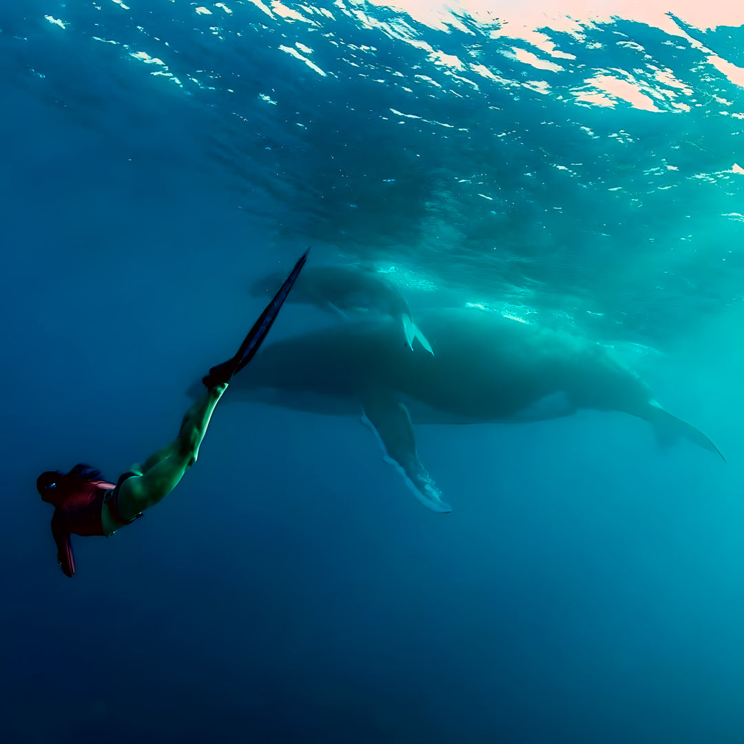 Fiji All Girls Freediving Adventure Retreat