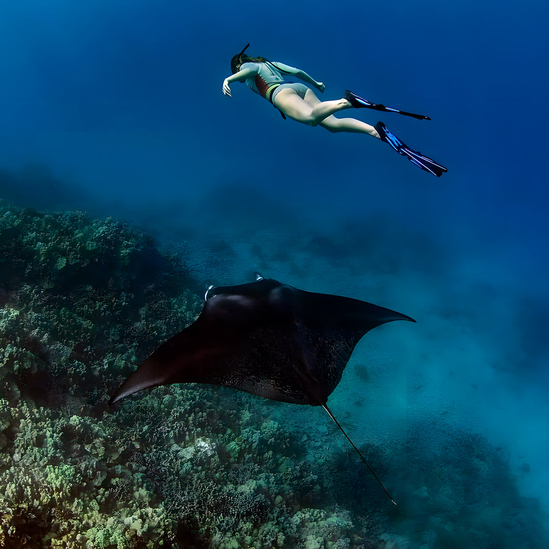 Fiji All Girls Freediving Adventure Retreat