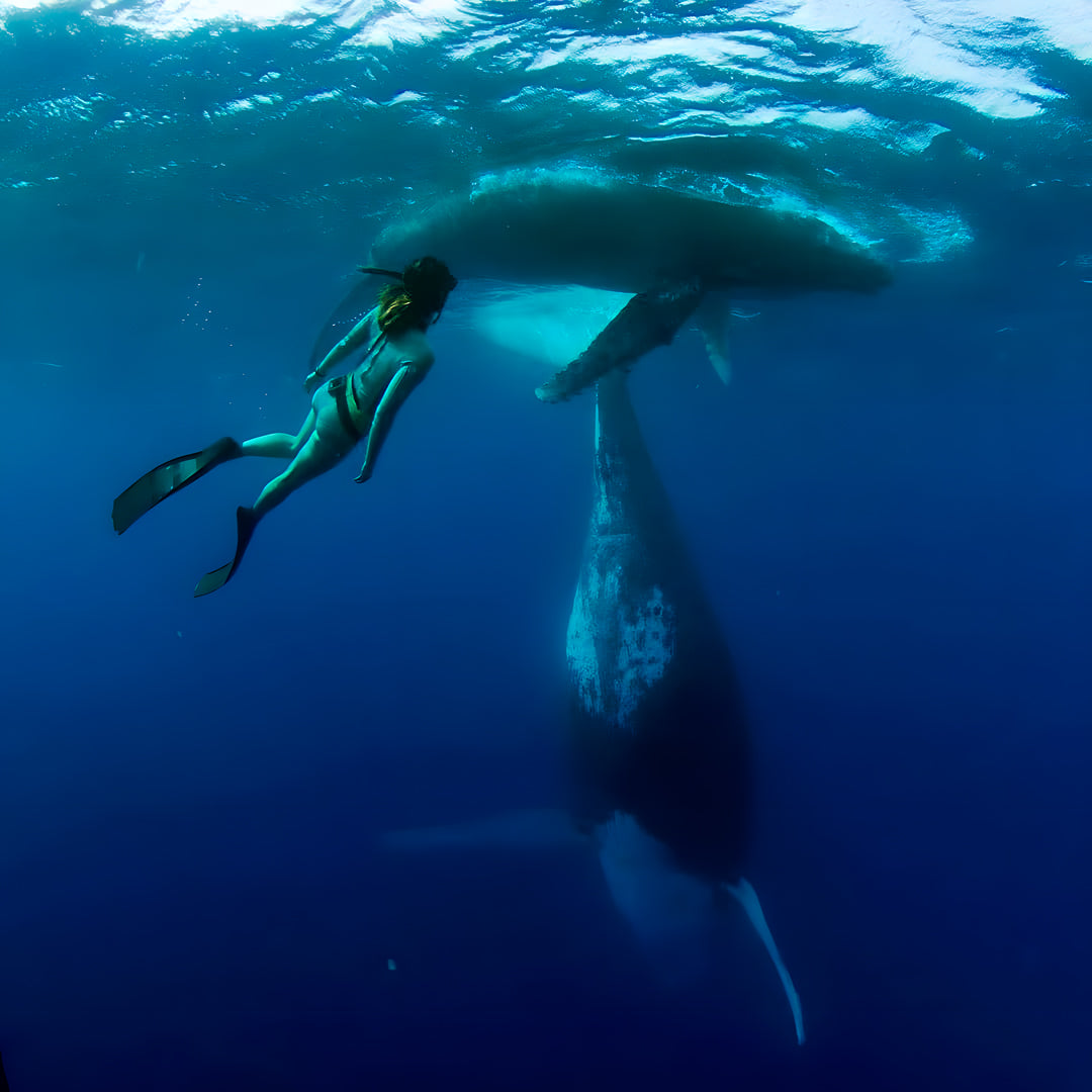 Fiji All Girls Freediving Adventure Retreat