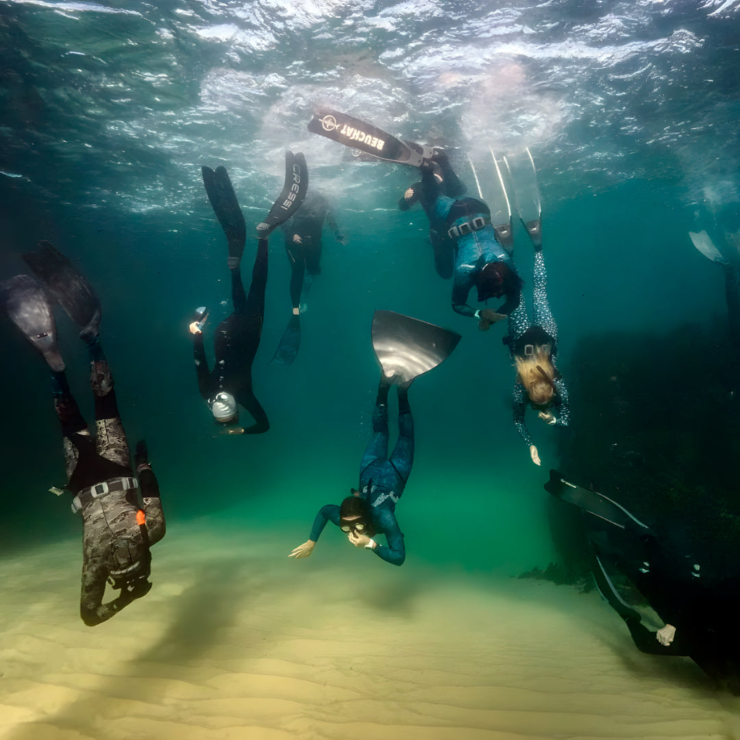 Beginner Freediving Course