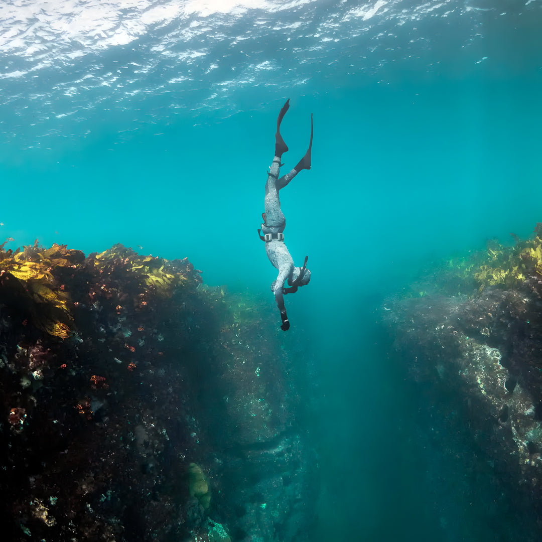 Beginner Freediving Course