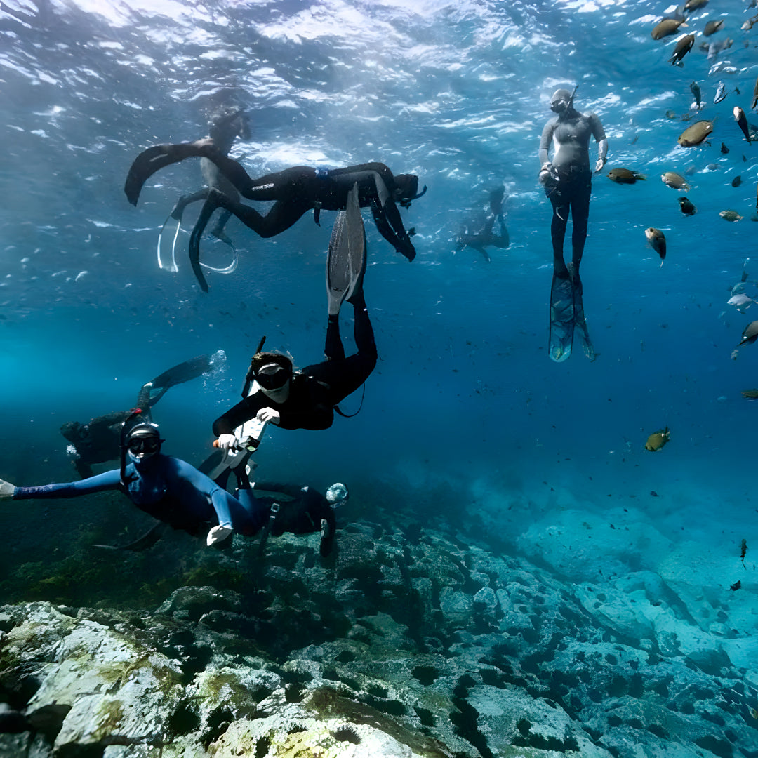 Freediving Instructor Course