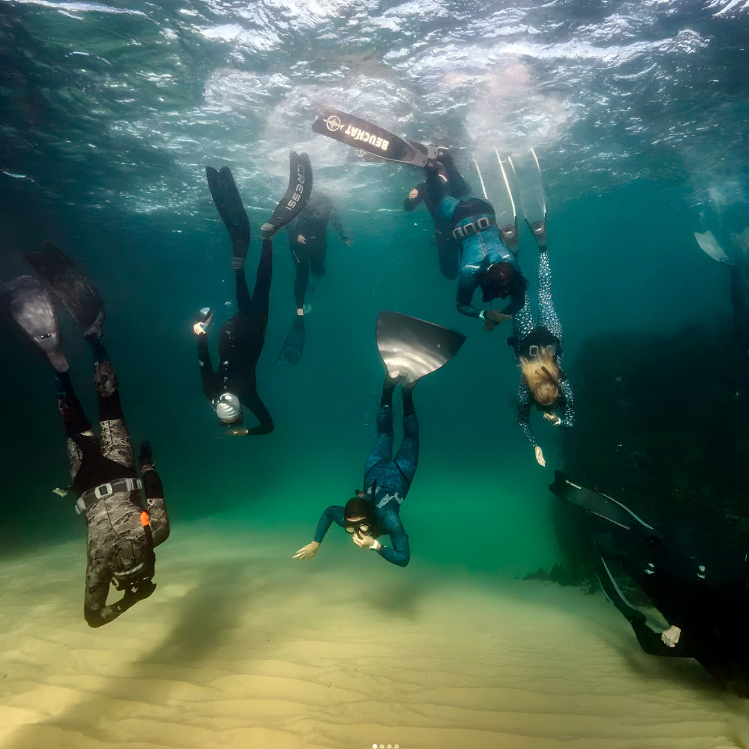 Freediving Instructor Course