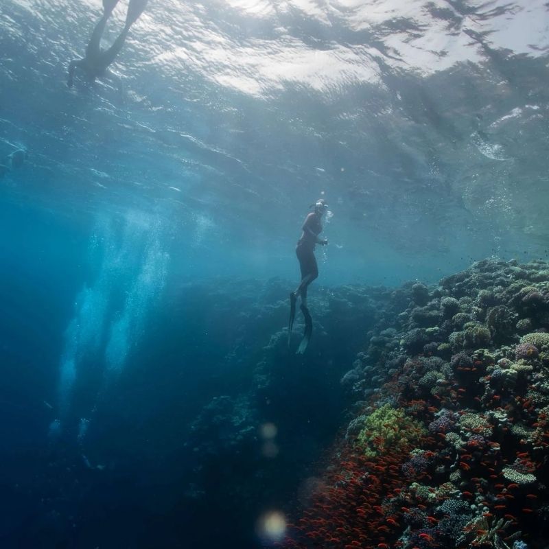 Dahab Freediving Retreat