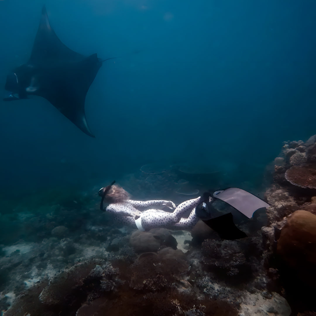 Level 3 Freediving Course in Bali