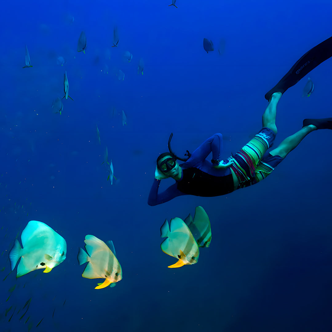 Discover Freediving Course BB Divers