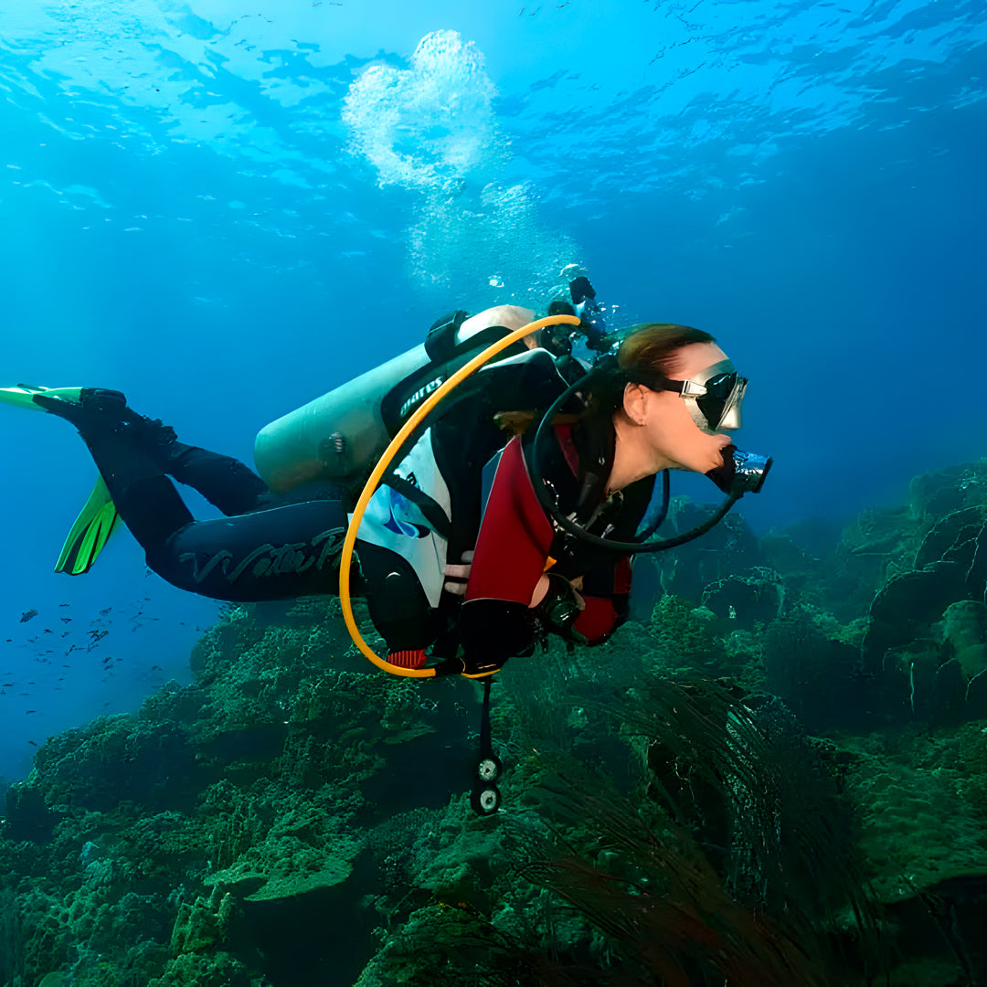 Discover Freediving Course BB Divers