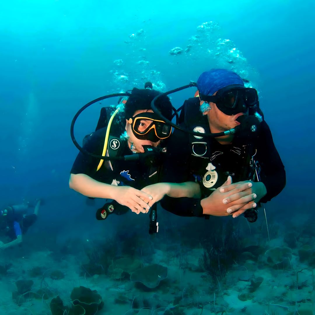 PADI Advanced Freediver Course BB Divers