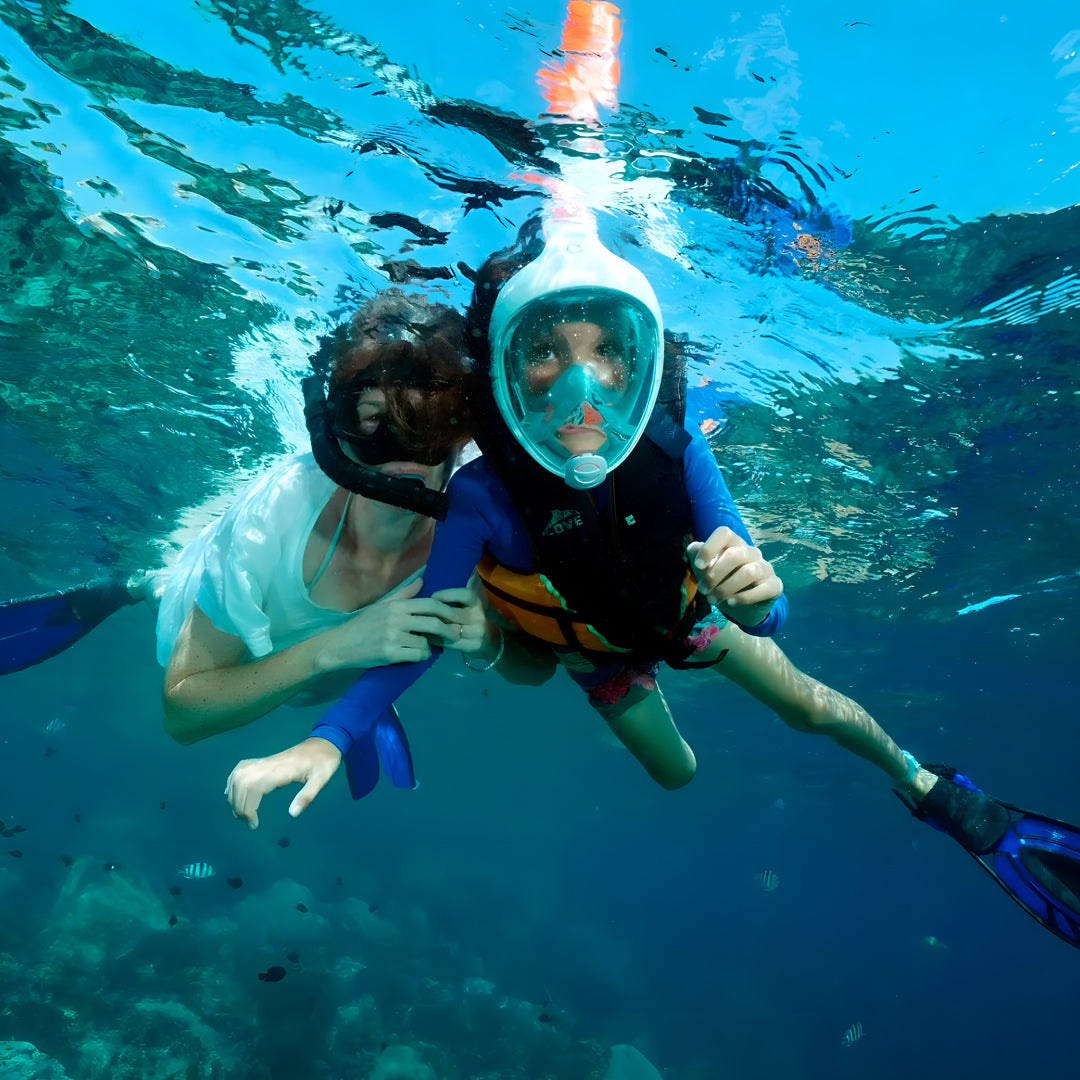 Discover Freediving Course BB Divers