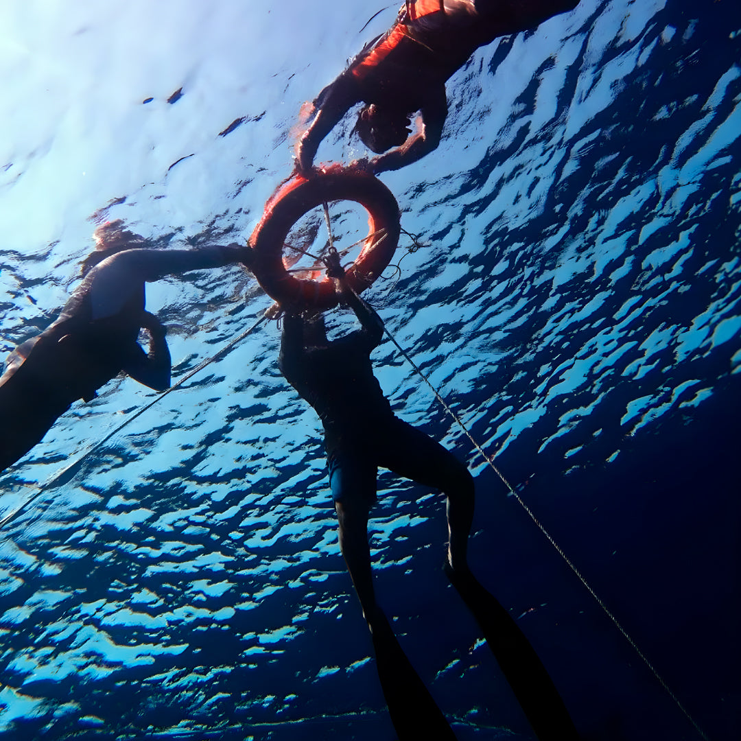 Freediving Day Trip BB Divers