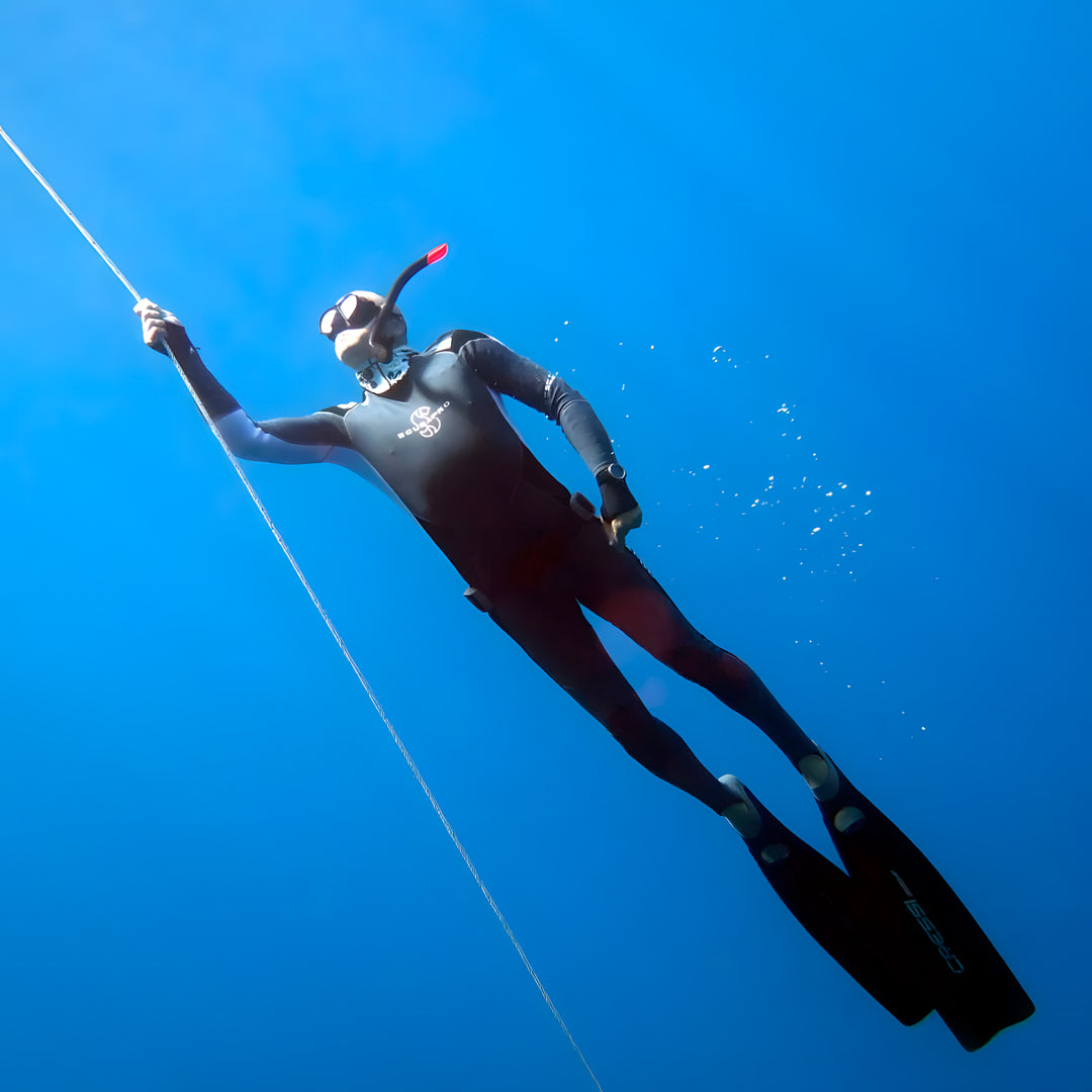 PADI Freedive Instructor Course BB Divers