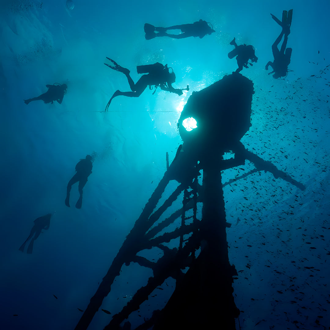 Discover Freediving Course BB Divers