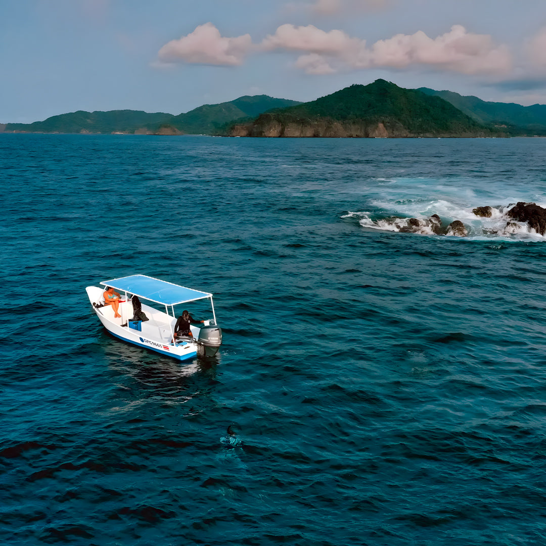 Discover Freediving in Costa Rica