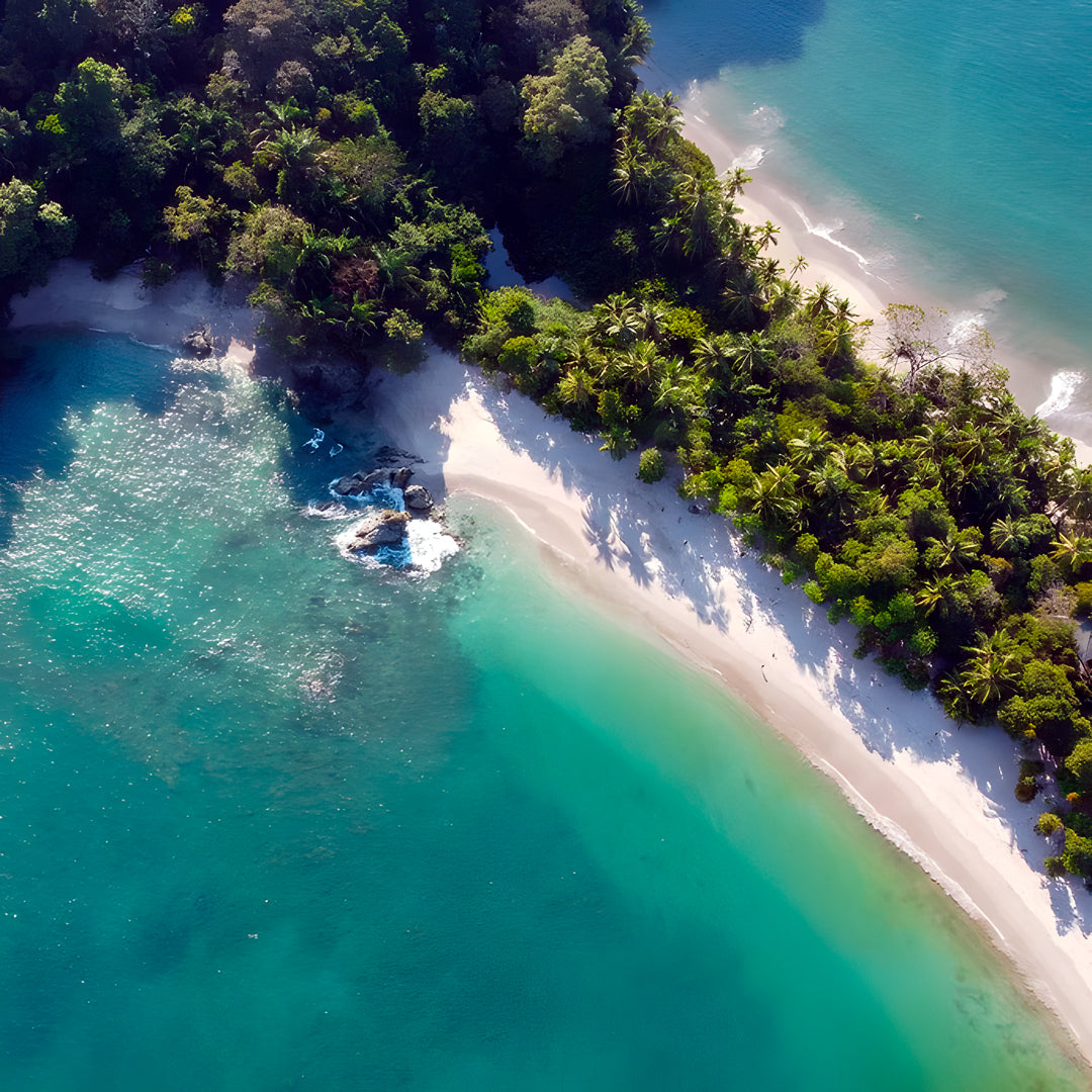 Discover Freediving in Costa Rica