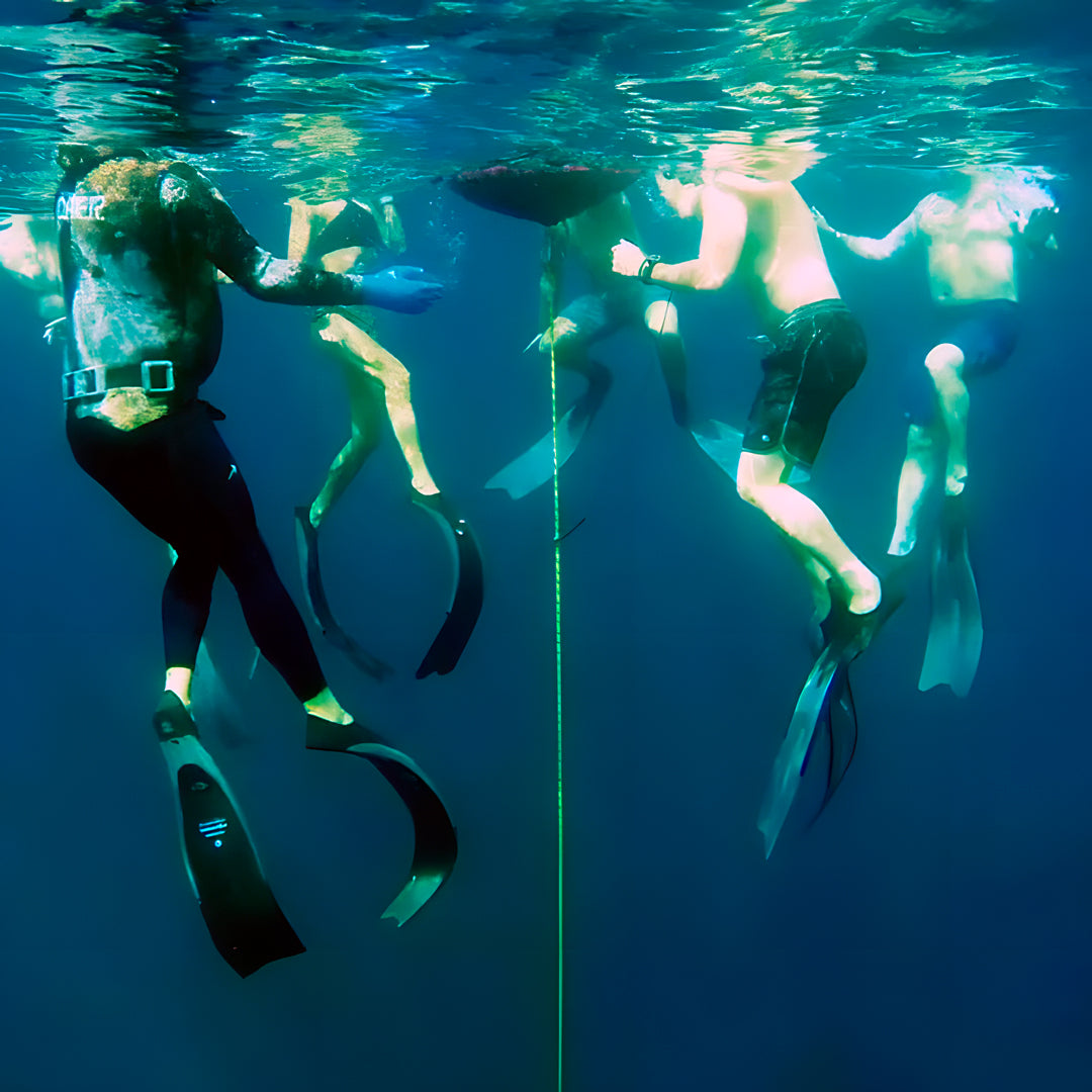 AIDA Freediving Instructor Course