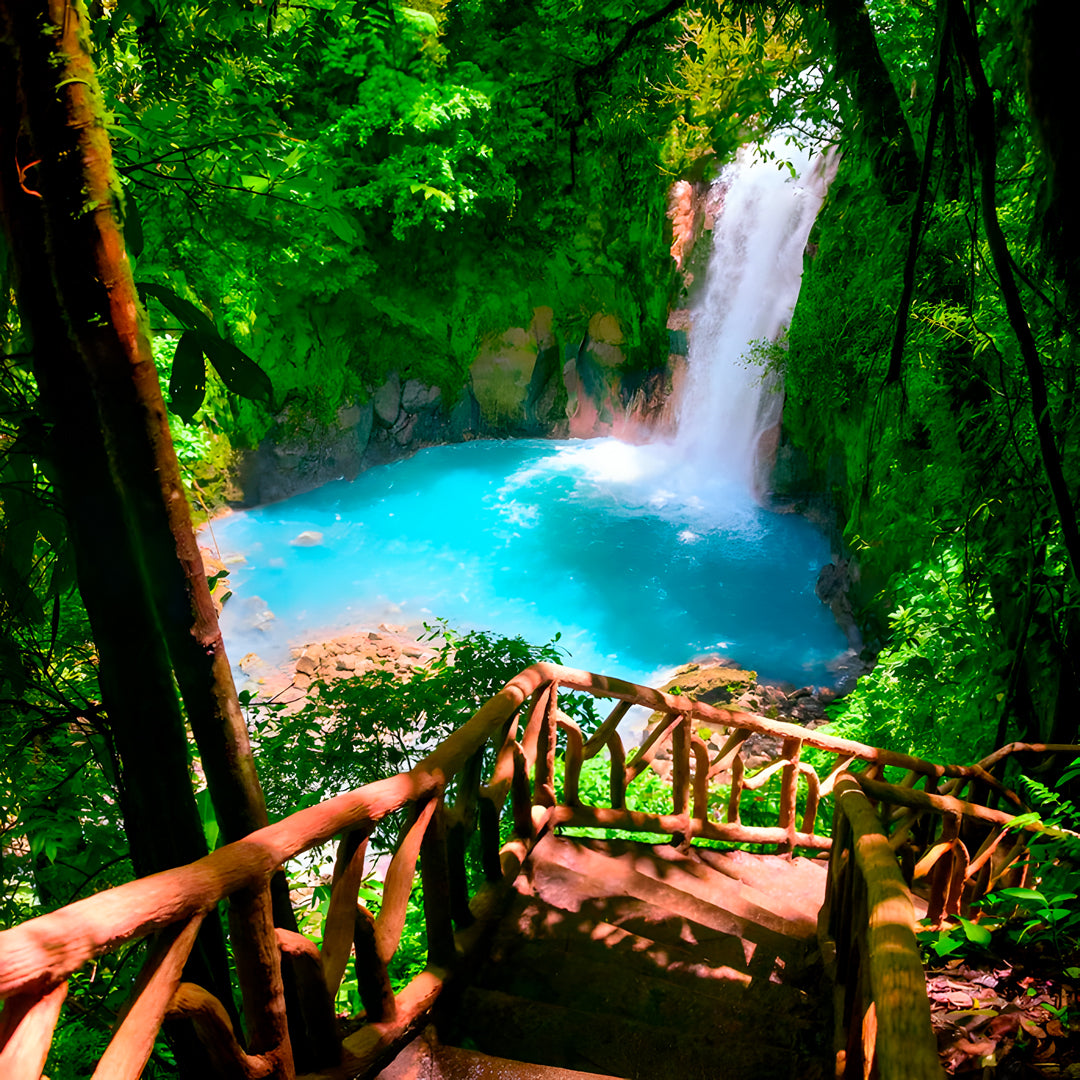 Discover Freediving in Costa Rica
