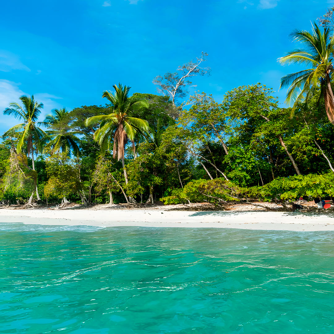 Discover Freediving in Costa Rica