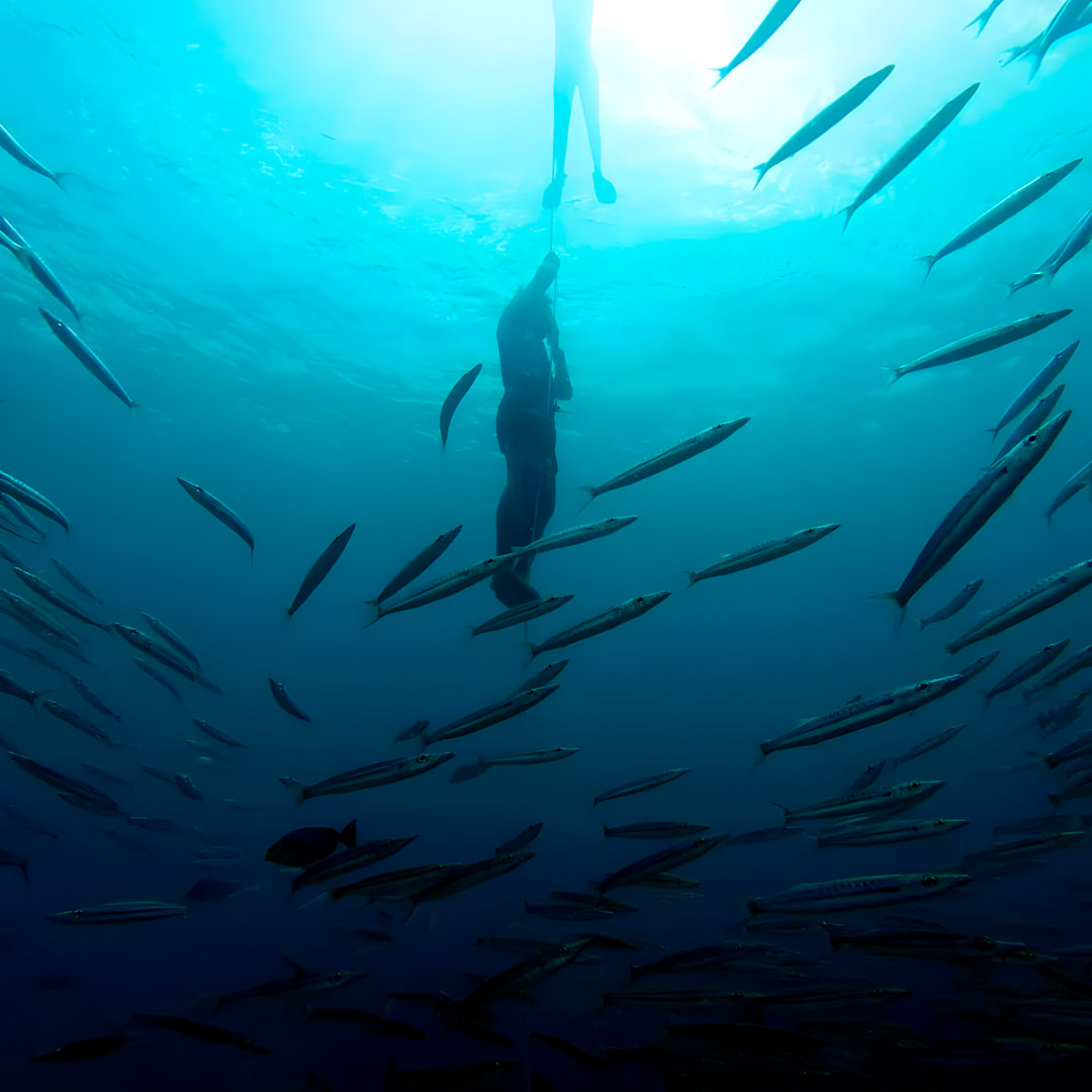 AIDA 3 Phuket Freediving Course