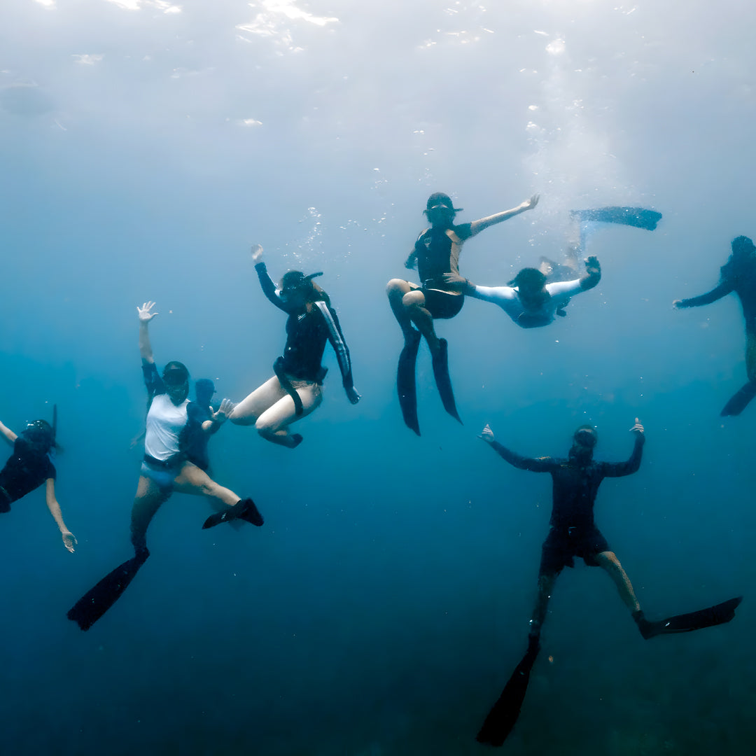 Freediving Fun Dive in Bira