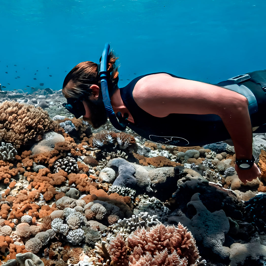 SSI Marine Biology Specialty Program