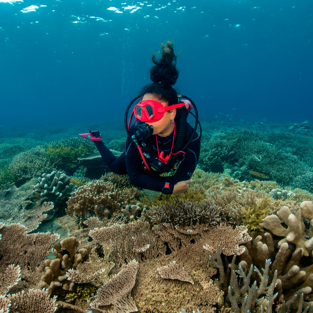 SSI Wave 1 Freediving Course