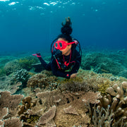 SSI Wave 1 Freediving Course