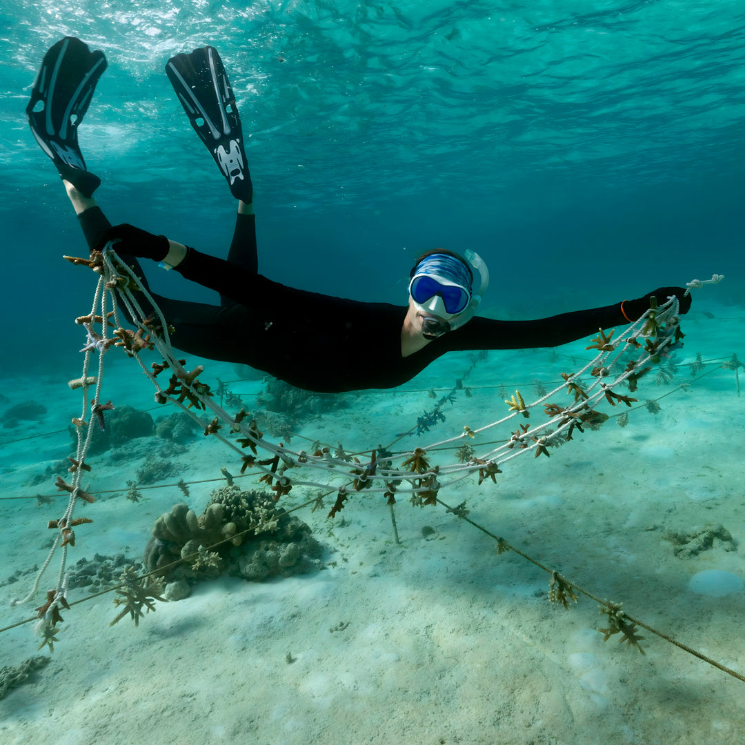SSI Wave 1 Freediving Course
