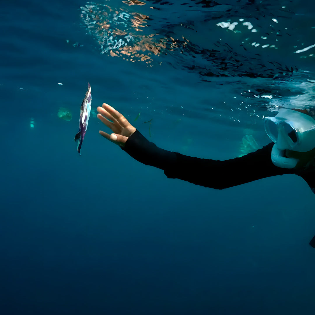 SSI Wave 1 Freediving Course