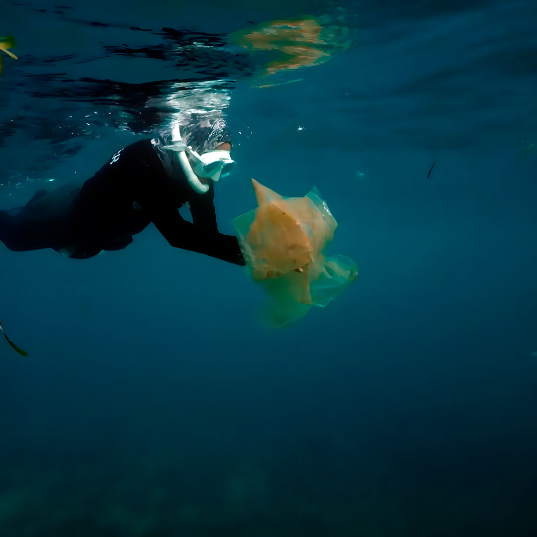SSI Wave 2 Freediving Course