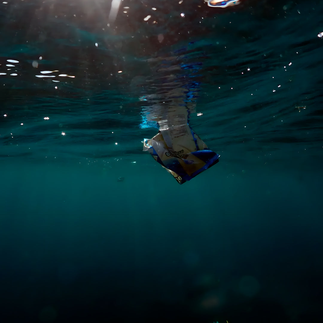 SSI Wave 2 Freediving Course